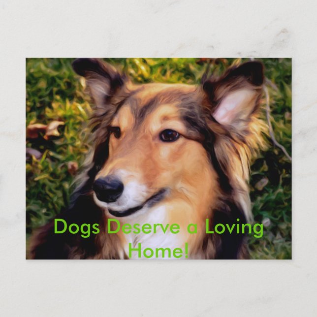 Räddinghund Vykort (Framsida)