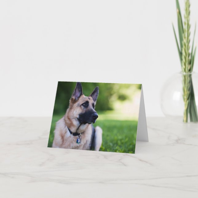 Räddinghunden "anknyter ", kort (Framsida)