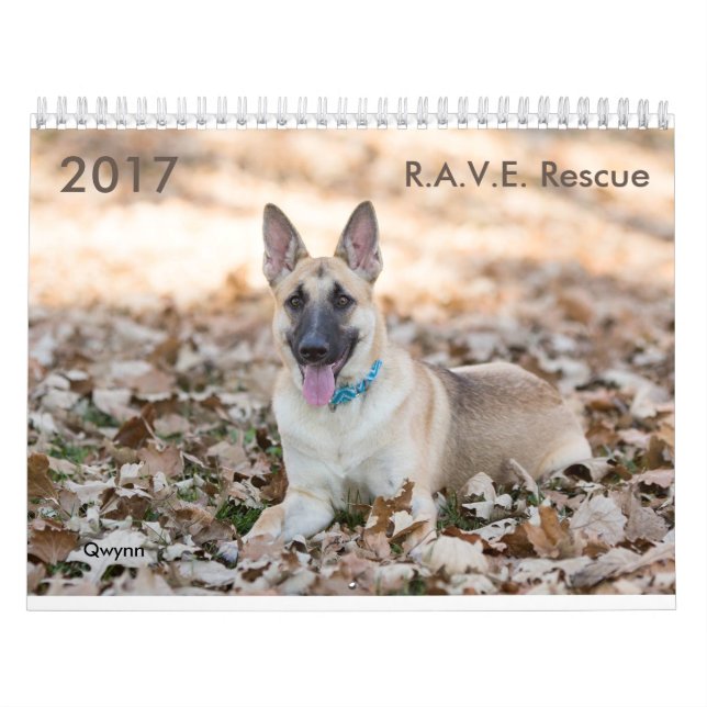 Räddingkalender för 2017 R.A.V.E. Kalender (Omslag)