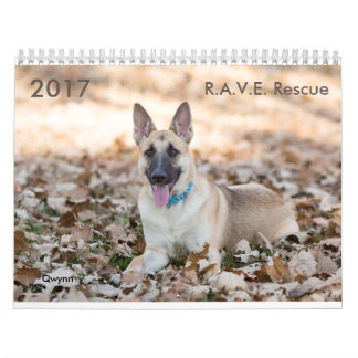 Räddingkalender för 2017 R.A.V.E. Kalender