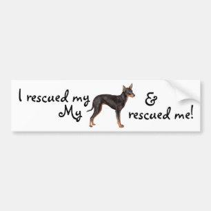 RäddingleksakManchester Terrier Bildekal