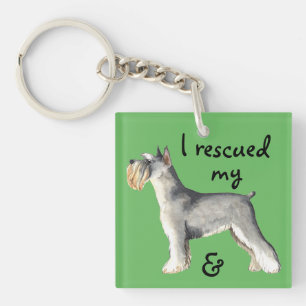 RäddingminiatyrSchnauzer
