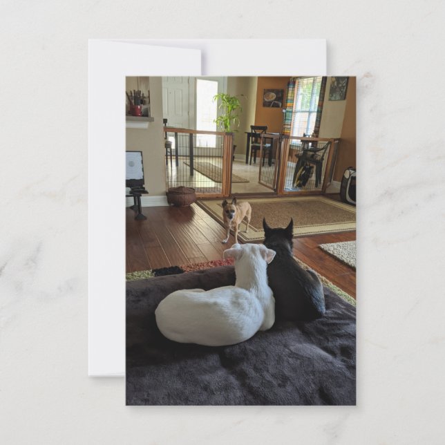 Räddningshundar 3,5" x 5" Platt Tacksamhetskort Tack Kort (Framsida)