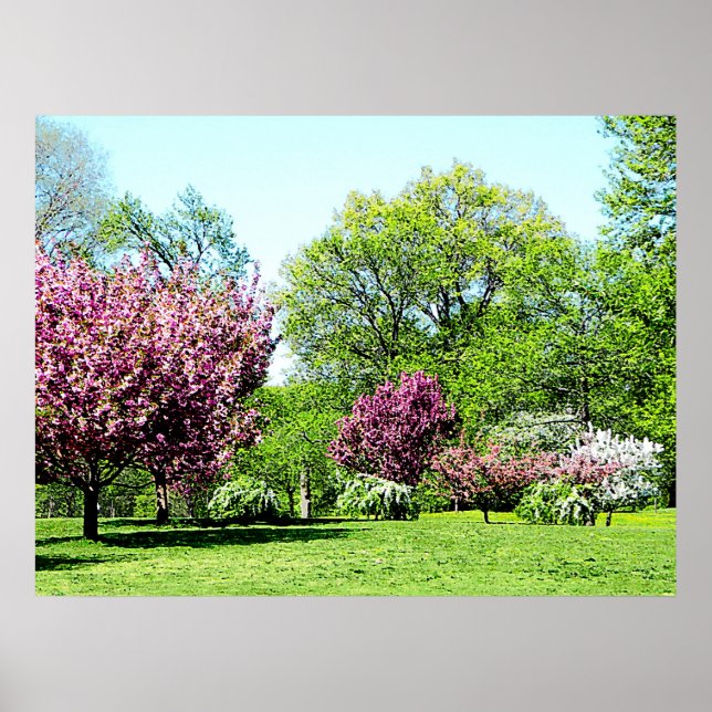 Raden Blommar Träd Prints & Poster (Framsidan)