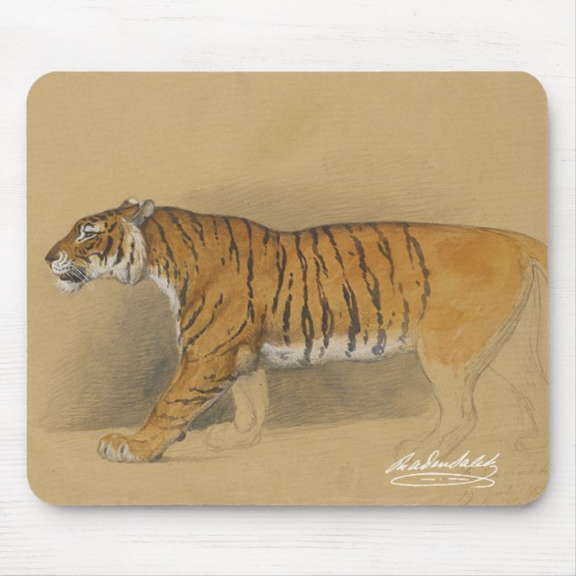 Raden Saleh® Musmatt 'Gående javanesiska tiger' Musmatta (Framsidan)