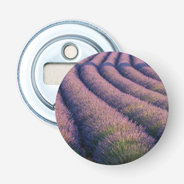 Rader av lavendel i Provence Flasköppnare (Framsidan)