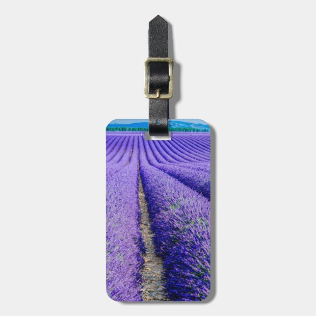 Rader av lavendel, Provence, Frankrike Bagagebricka (Vertikal Framsida)