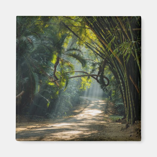 Rader i Bamboo Magnet (Framsidan)