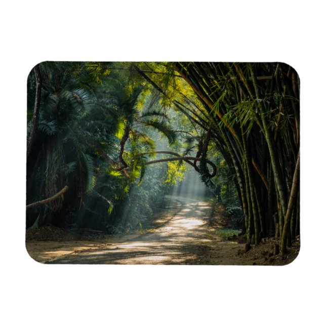 Rader i Bamboo Magnet (Horisontell)