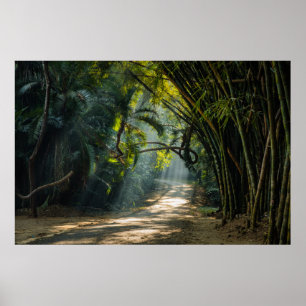 Rader i Bamboo Poster