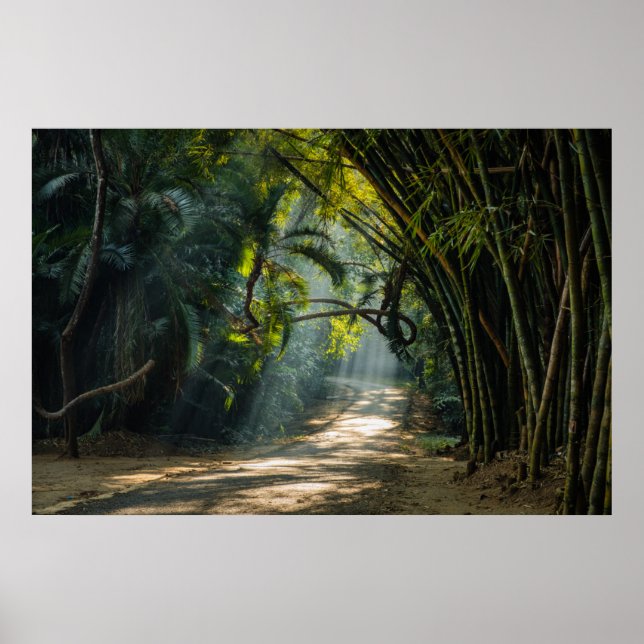 Rader i Bamboo Poster (Framsidan)