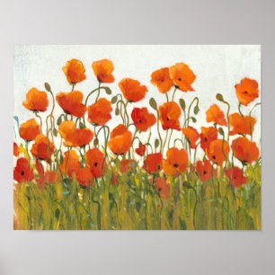 Rader i Poppies I Poster