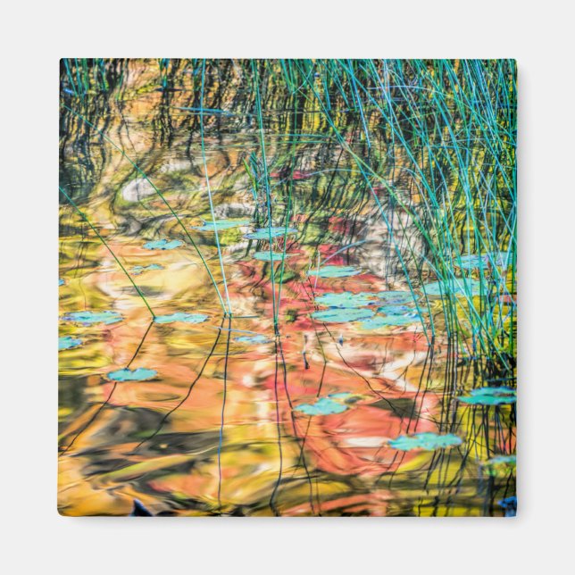 Rådet Sjö i Hiawathas nationalskog, Michigan Magnet (Framsidan)