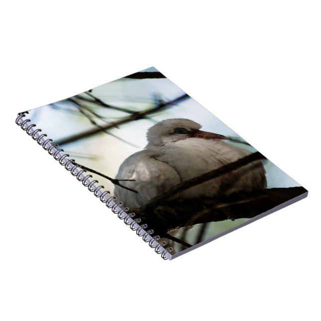 Radhuvud Anteckningsbok Med Spiral (Högra Sidan)