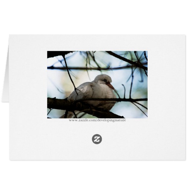 Radhuvud OBS Kort (Baksidan Horizontal)