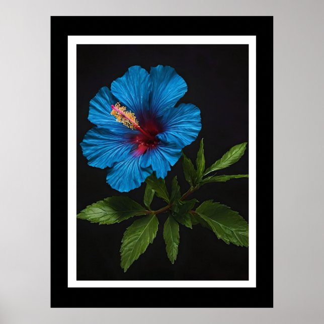 "Radiant Blue: Hibiscus Flower against on Black Poster (Framsidan)