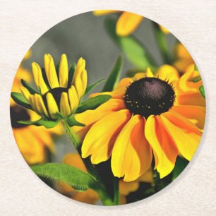Radiant Golden Black Eyed Susan Rudbeckias Underlägg Papper Rund