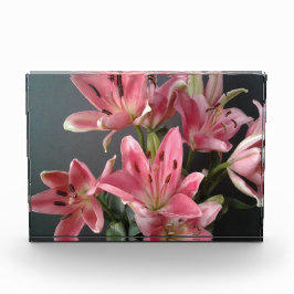 Radiant Grace: Rosa Lilies i Bloom
