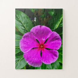 Radiant Memory Bloom | Magenta Vinca Botanical Pussel