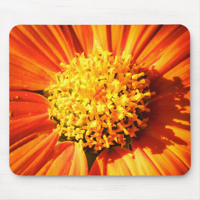 Radiant Orange Flower Macro Mouse Pad Photo Musmatta (Framsidan)