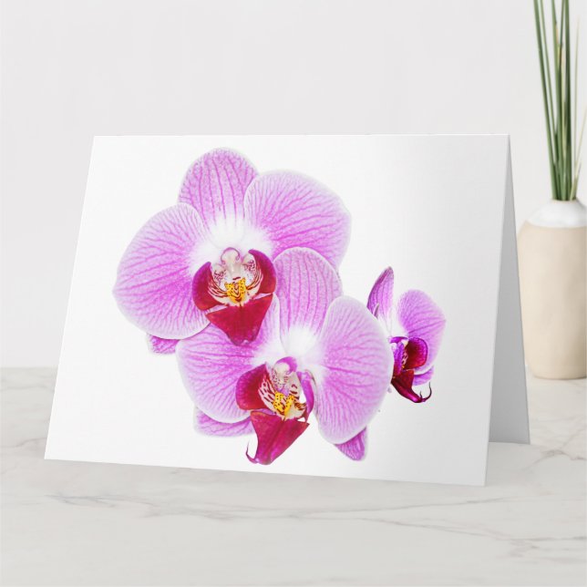 Radiant Orchid Close-up Floral Photography Kort (Framsida)