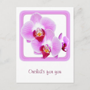 Radiant Orchid Closeup Photo med Square Ram Vykort