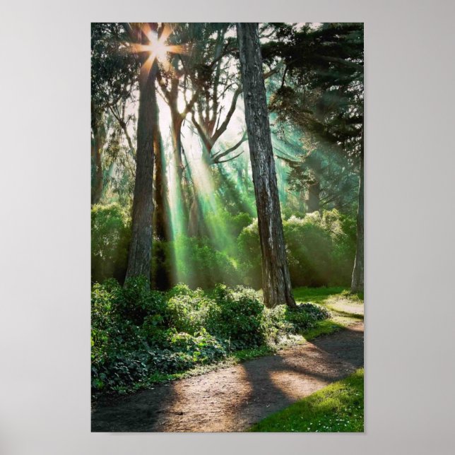 Radiant Poster (Framsidan)