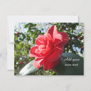 Radiant Red Camellia - Personlig Vykort