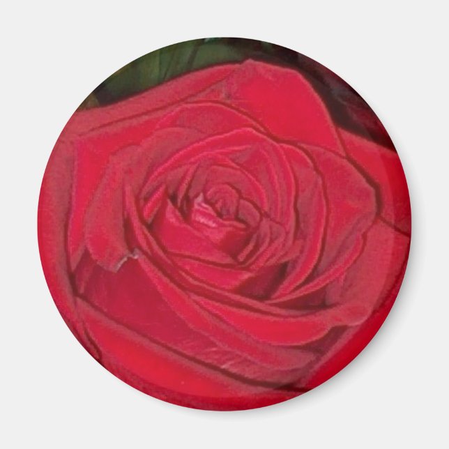 Radiant Röd ros Magnet (Framsidan)