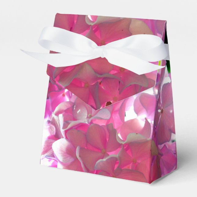 Radiant Rosa Hydrangeas, rosa blommor rosa blommor Presentaskar (Framsidan Sidan)