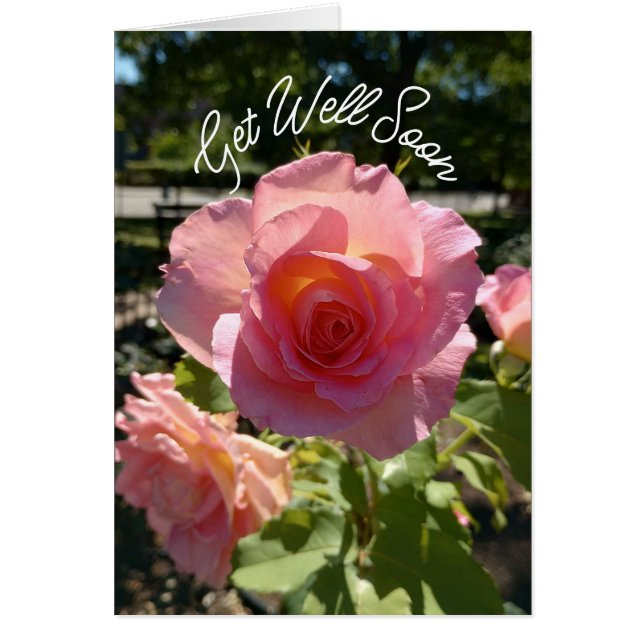 Radiant Rosa Tea Ro får ett bra kort snart (Framsidan)