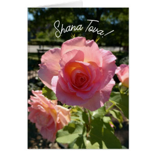 Radiant Rosa Tea Ro Rosh Hashanah Card Hälsningskort