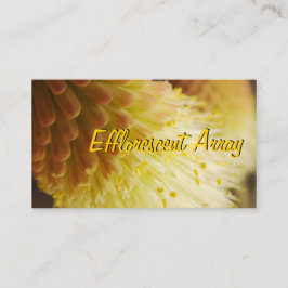 Radiant Torch Lily Visitkort