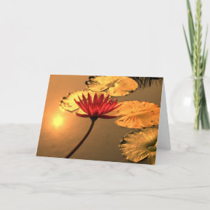 Radiant Vatten Lily med Andlig-meddelande Kort