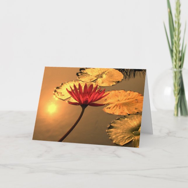 Radiant Vatten Lily med Andlig-meddelande Kort (Framsida)