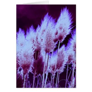 Radioaktivt Hälsningskort