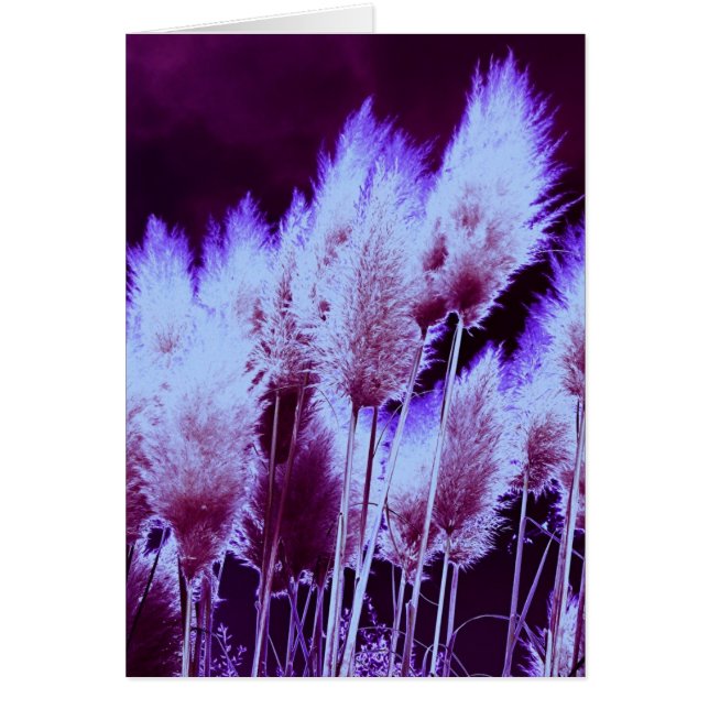 Radioaktivt Hälsningskort (Framsidan)