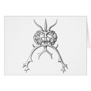 Radiolaria Hälsningskort