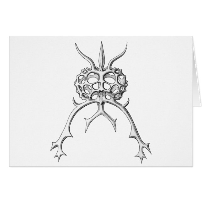 Radiolaria Hälsningskort (Framsidan Horizontal)