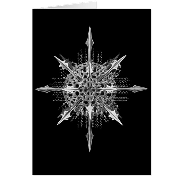 Radiolarians Hälsningskort (Framsidan)