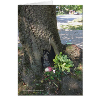 Rädisa Gifting Hälsningskort