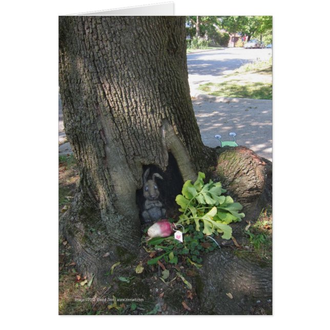 Rädisa Gifting Hälsningskort (Framsidan)