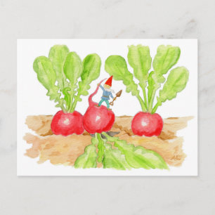 Radish Garden Gnome-vykort Vykort