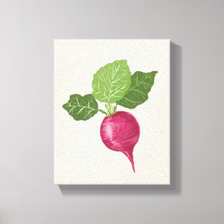 Radish kitchen wall decor (vegetable illustration) canvastryck