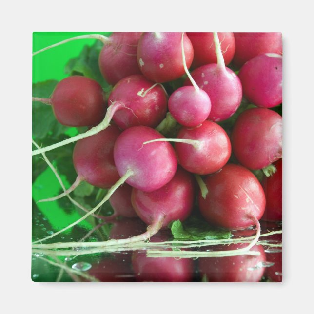 Radish Magnet (Framsidan)