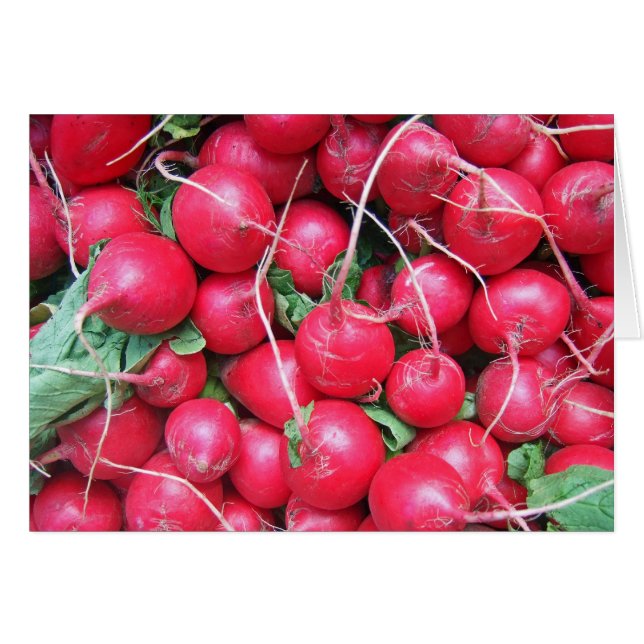 Radish Note OBS Kort (Framsidan Horizontal)