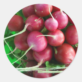 Radish Runt Klistermärke