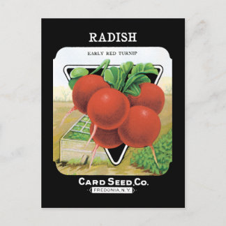 Radish Seed Pack Vykort