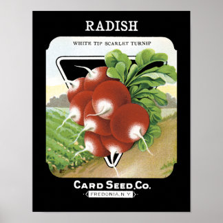 Radish Seed Packet Label Poster