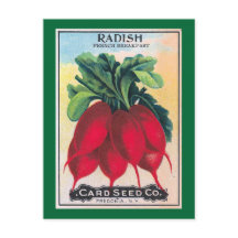 Radish Seed Packet